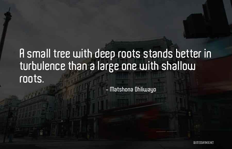 Small Small Quotes By Matshona Dhliwayo