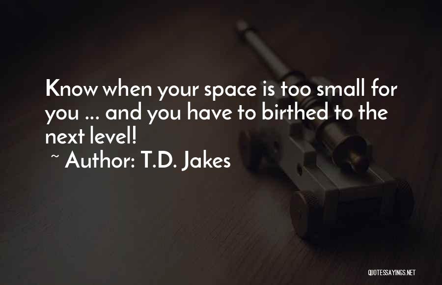 Small Small Quotes By T.D. Jakes