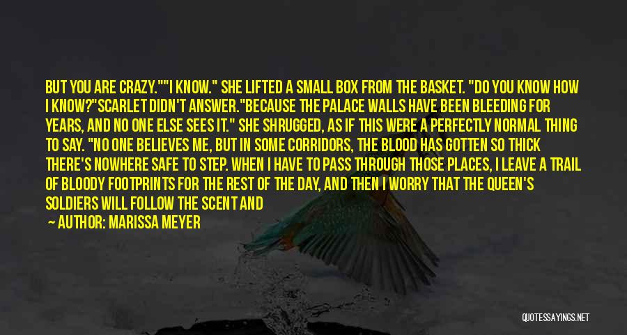 Small Soldiers Quotes By Marissa Meyer