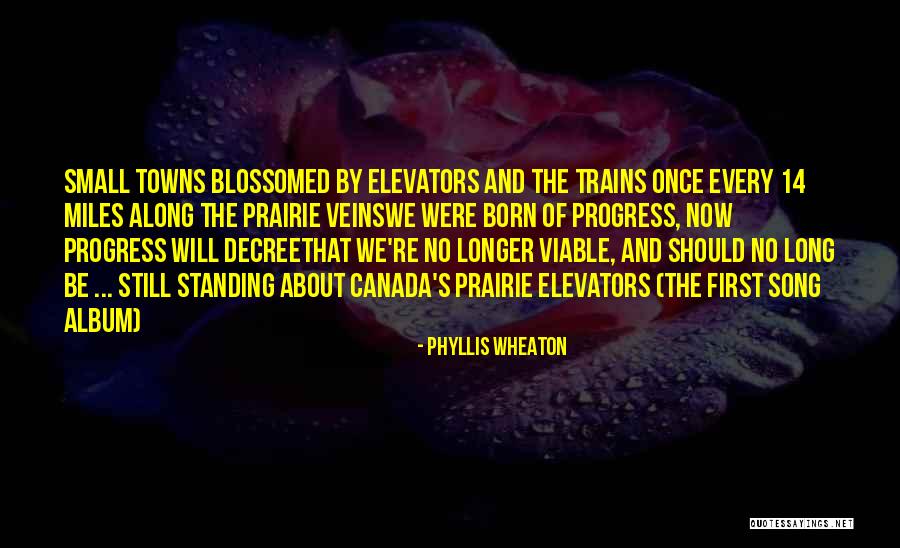 Small Song Quotes By Phyllis Wheaton Small Song Quotes By Phyllis Wheaton
