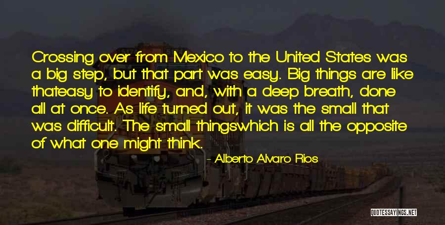 Small States Quotes By Alberto Alvaro Rios