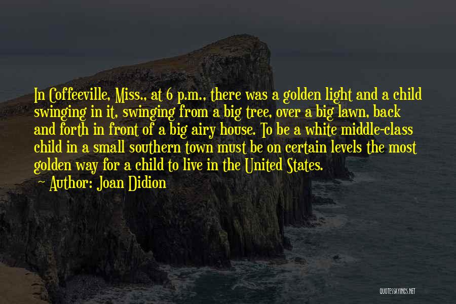 Small States Quotes By Joan Didion