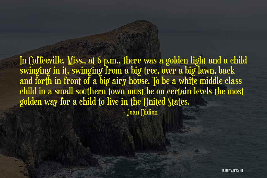 Small States Quotes By Joan Didion