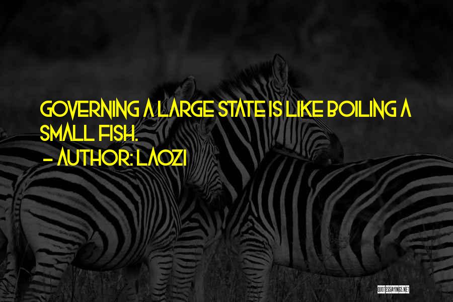 Small States Quotes By Laozi