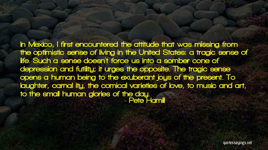 Small States Quotes By Pete Hamill