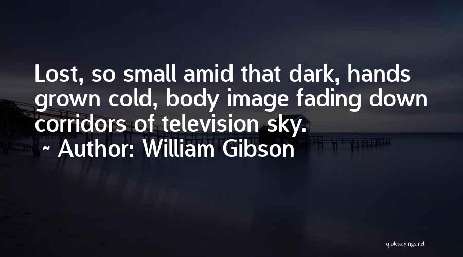 Small States Quotes By William Gibson