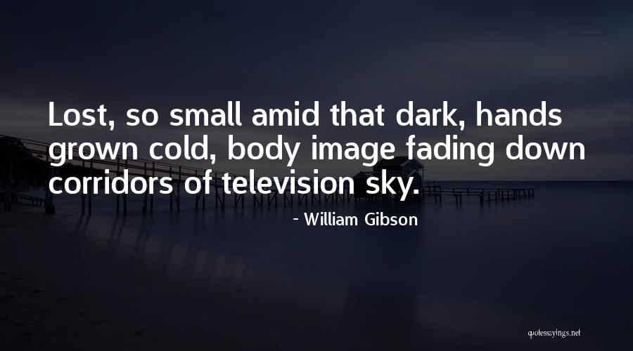 Small States Quotes By William Gibson