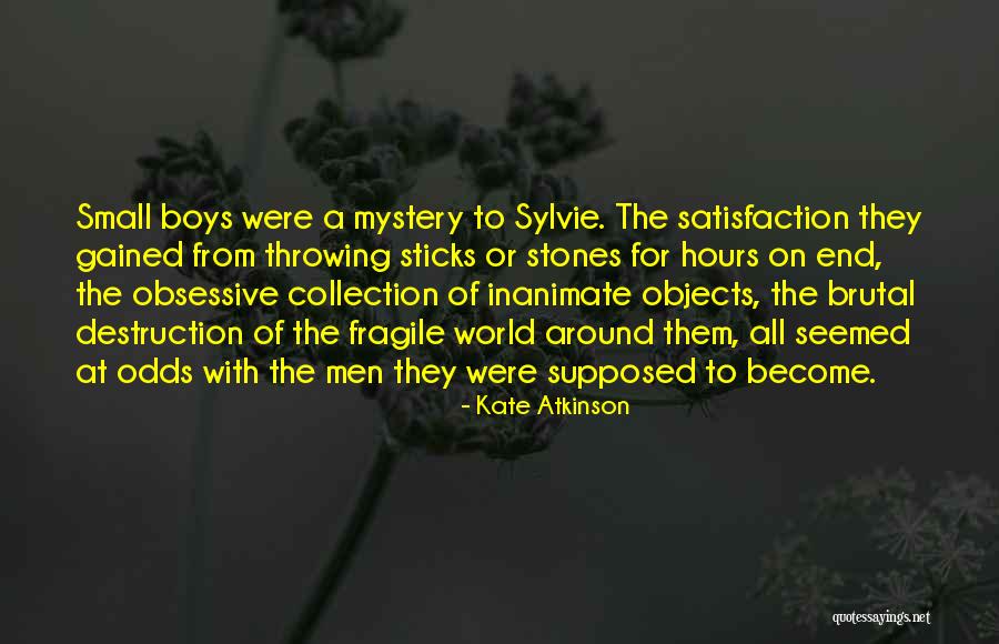 Small Stones With Quotes By Kate Atkinson Small Stones With Quotes By Kate Atkinson