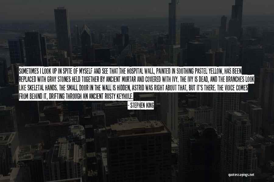 Small Stones With Quotes By Stephen King Small Stones With Quotes By Stephen King