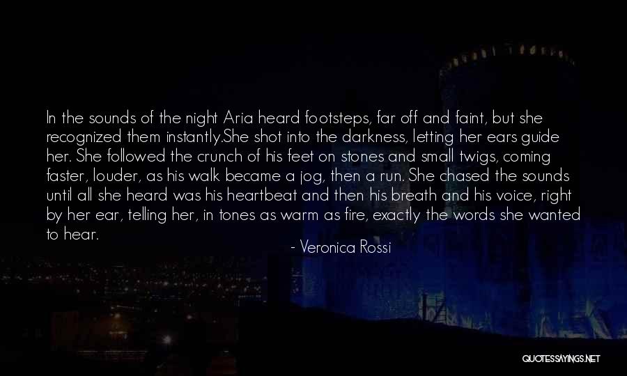 Small Stones With Quotes By Veronica Rossi Small Stones With Quotes By Veronica Rossi