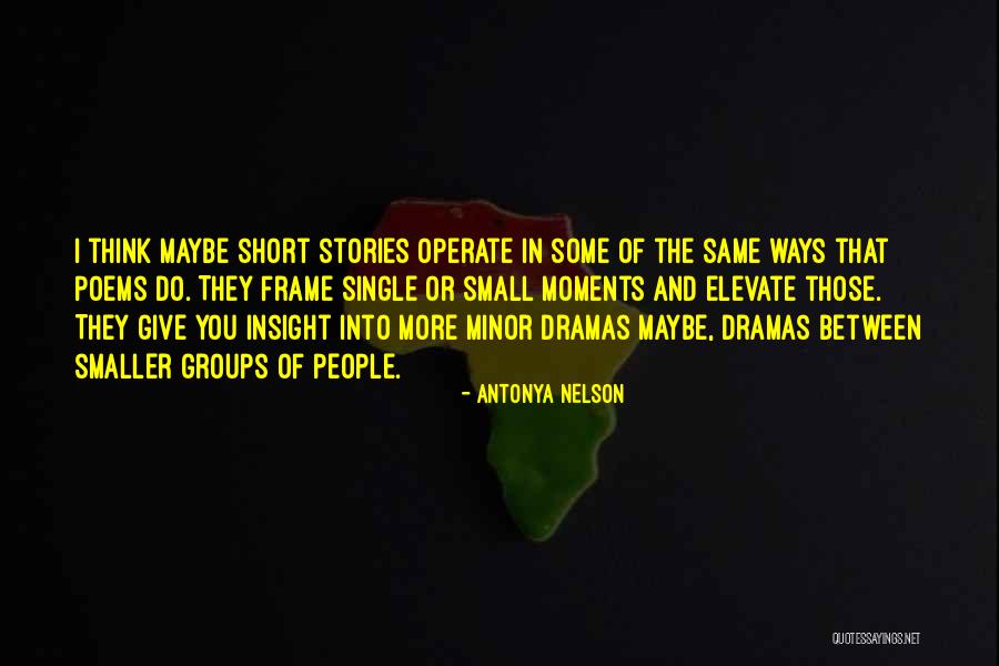 Small Stories Quotes By Antonya Nelson Small Stories Quotes By Antonya Nelson