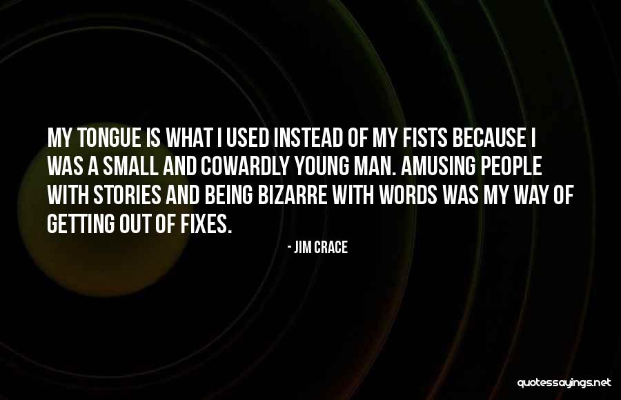 Small Stories Quotes By Jim Crace Small Stories Quotes By Jim Crace