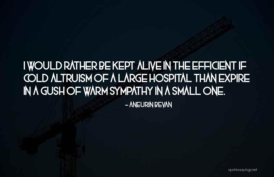 Small Sympathy Quotes By Aneurin Bevan Small Sympathy Quotes By Aneurin Bevan