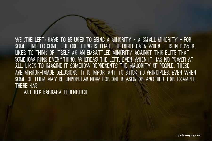 Small Things Are Important Quotes By Barbara Ehrenreich