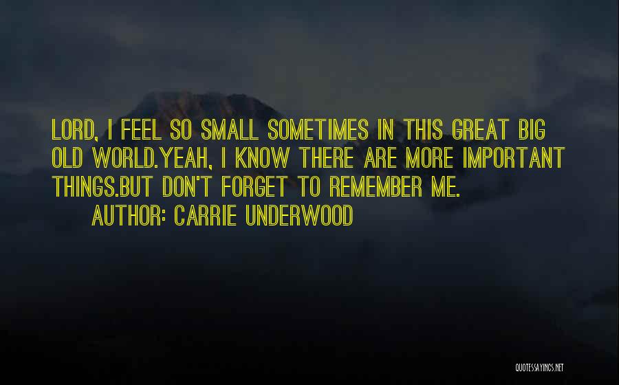 Small Things Are Important Quotes By Carrie Underwood