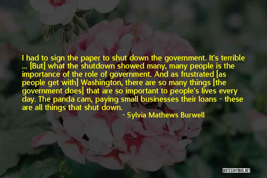 Small Things Are Important Quotes By Sylvia Mathews Burwell