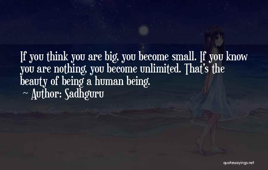 Small Things Being Big Quotes By Sadhguru