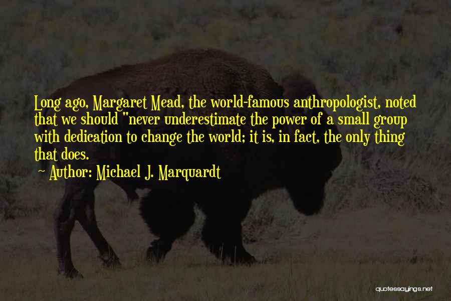 Small Things Change The World Quotes By Michael J. Marquardt