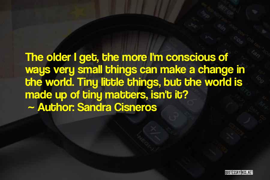 Small Things Change The World Quotes By Sandra Cisneros