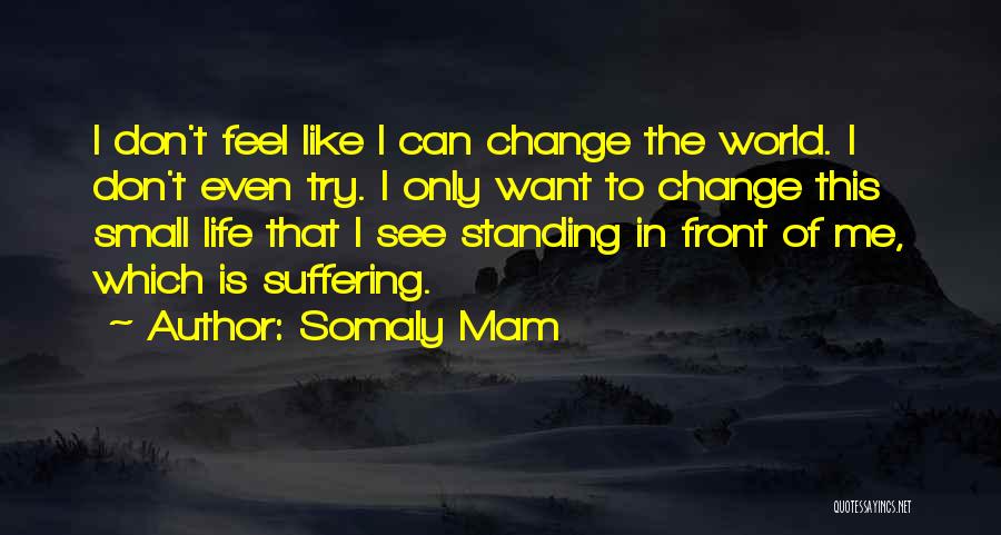 Small Things Change The World Quotes By Somaly Mam