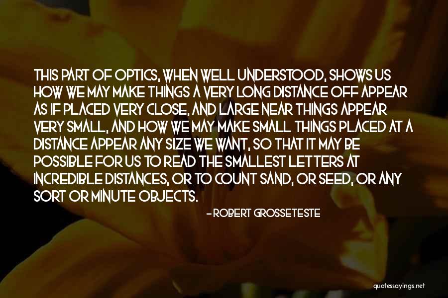 Small Things Count Quotes By Robert Grosseteste