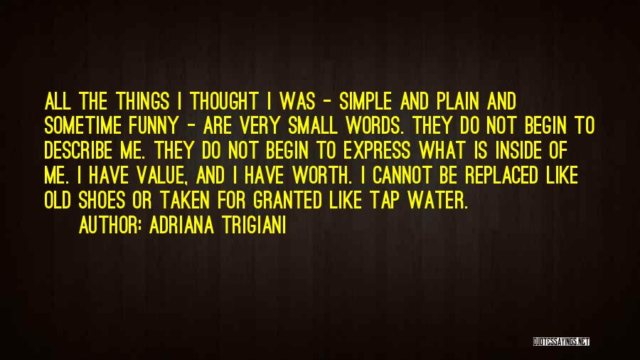 Small Things Funny Quotes By Adriana Trigiani