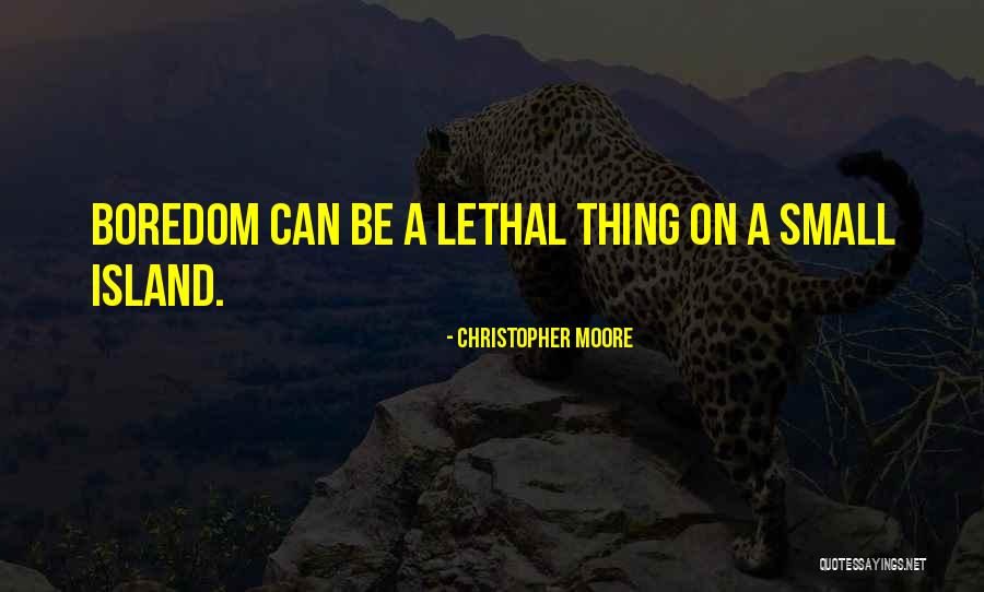 Small Things Funny Quotes By Christopher Moore