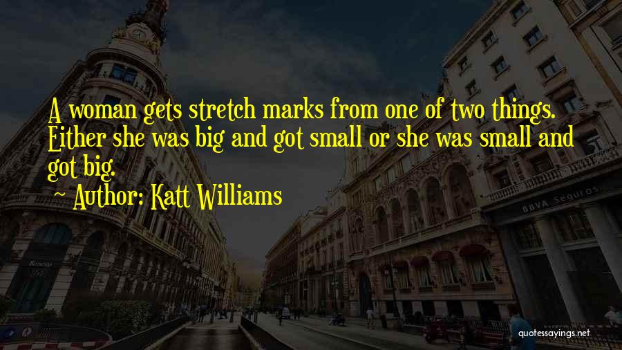 Small Things Funny Quotes By Katt Williams