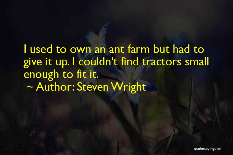 Small Things Funny Quotes By Steven Wright
