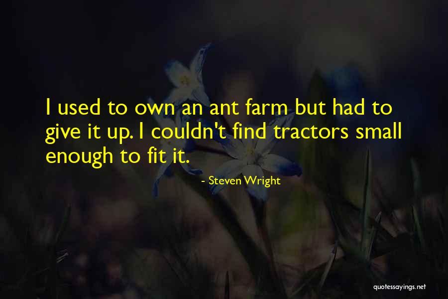 Small Things Funny Quotes By Steven Wright