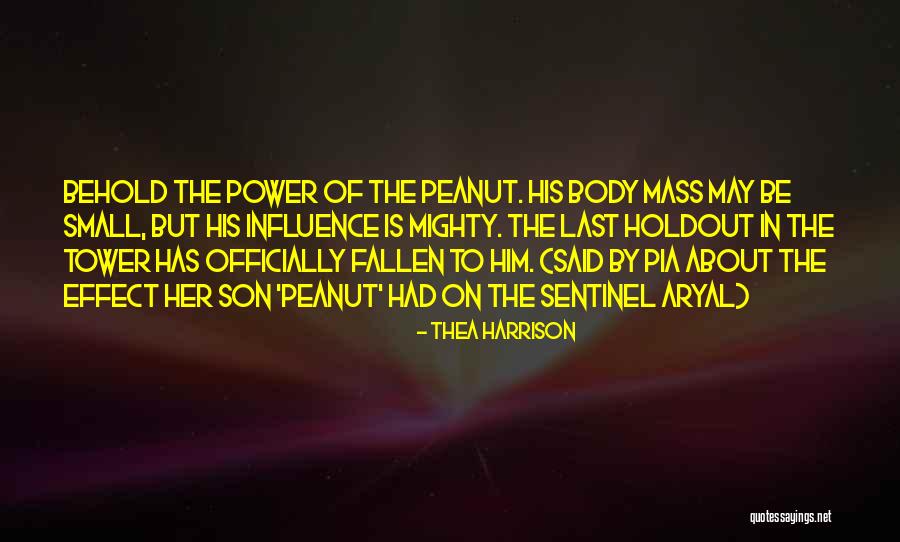 Small Things Funny Quotes By Thea Harrison Small Things Funny Quotes By Thea Harrison