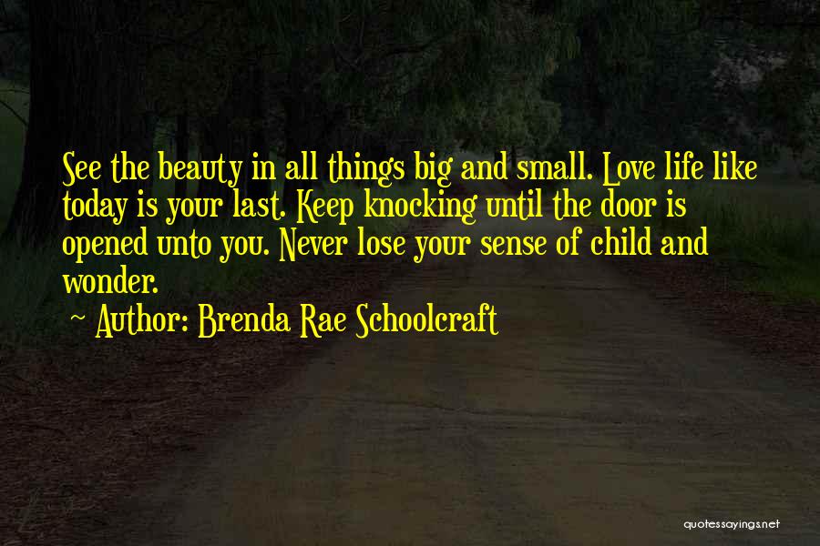 Small Things In Love Quotes By Brenda Rae Schoolcraft