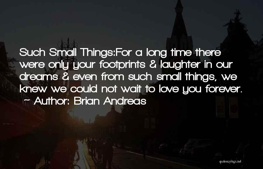 Small Things In Love Quotes By Brian Andreas