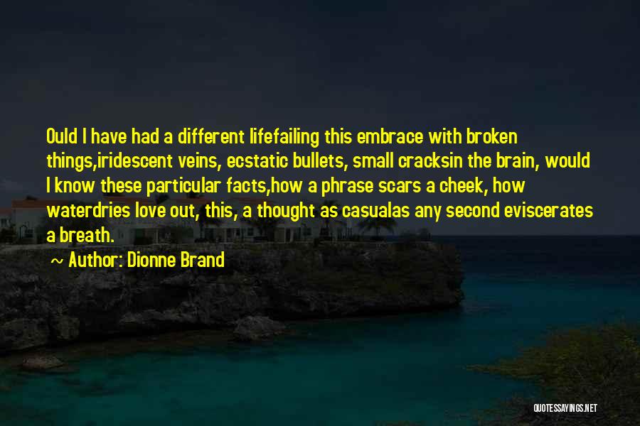 Small Things In Love Quotes By Dionne Brand