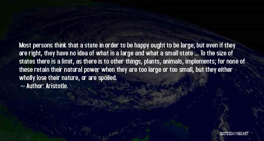 Small Things In Nature Quotes By Aristotle.