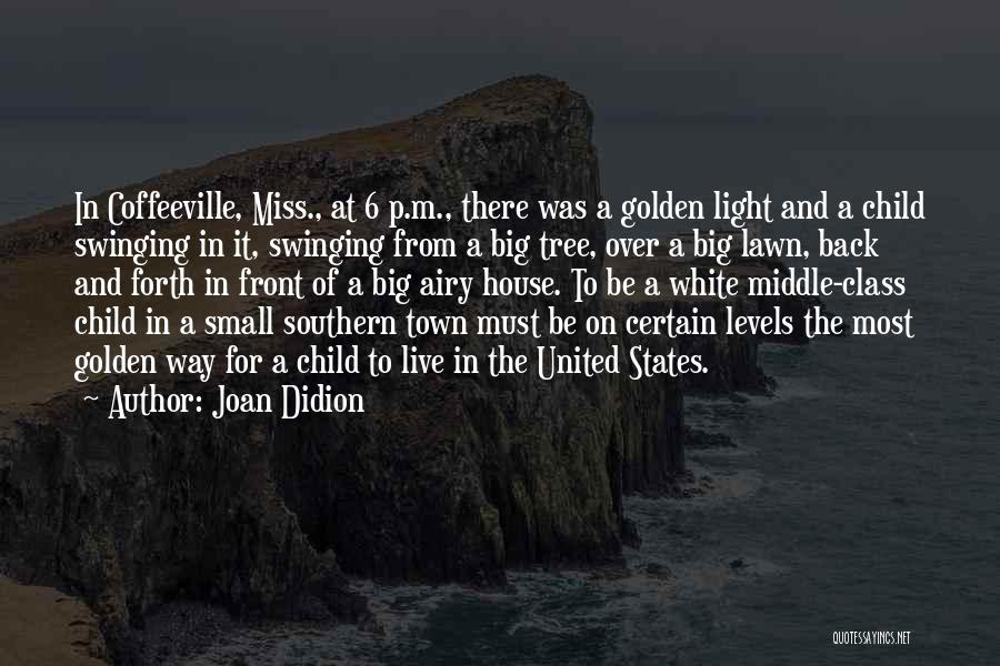 Small Town America Quotes By Joan Didion