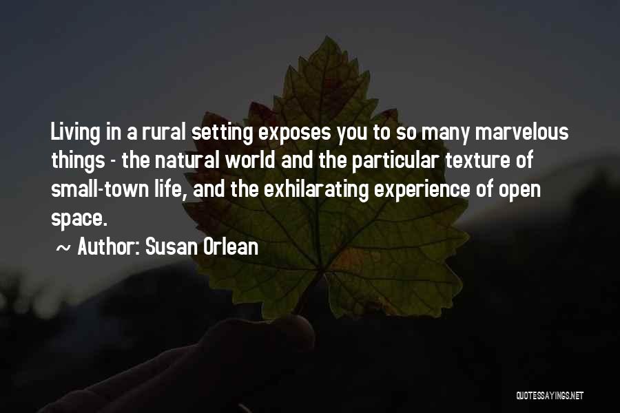 Small Town Life Quotes By Susan Orlean