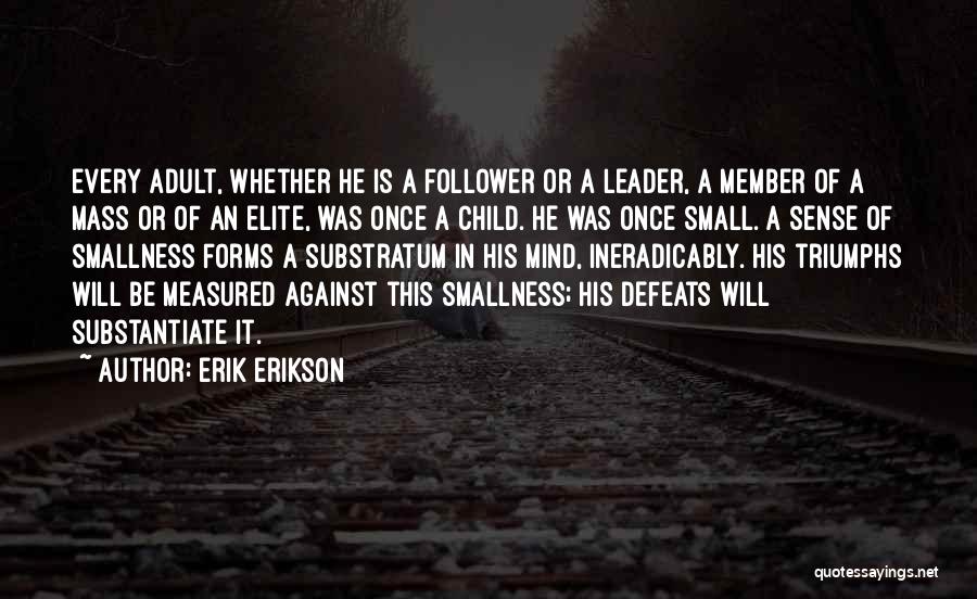 Small Triumphs Quotes By Erik Erikson