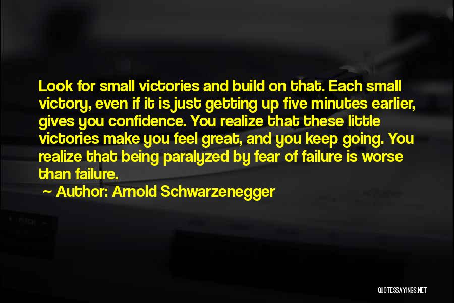 Small Victories Quotes By Arnold Schwarzenegger