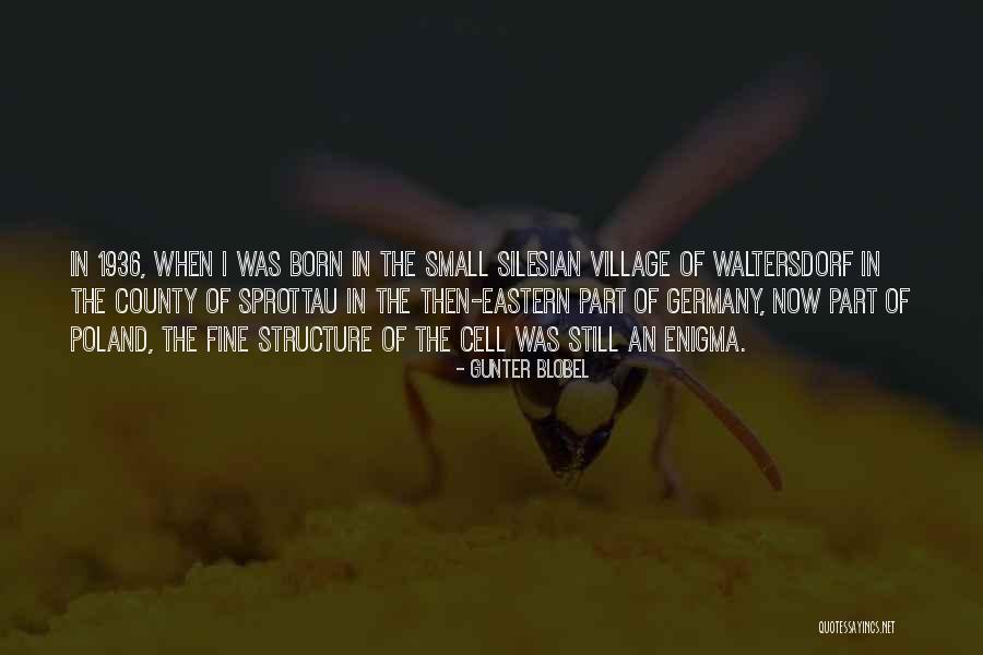 Small Village Quotes By Gunter Blobel Small Village Quotes By Gunter Blobel