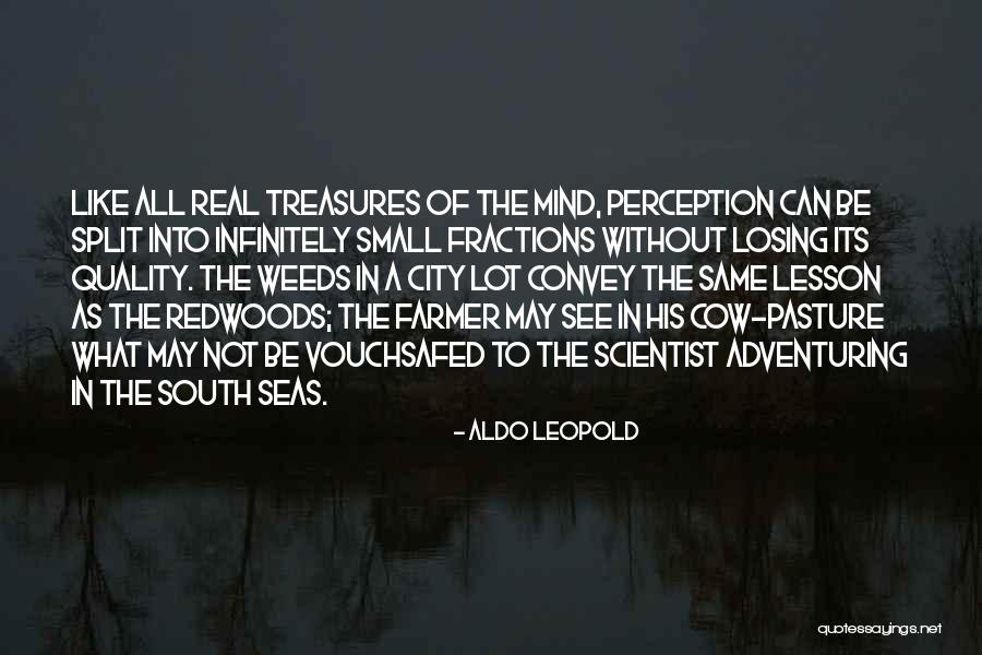 Small Weed Quotes By Aldo Leopold Small Weed Quotes By Aldo Leopold