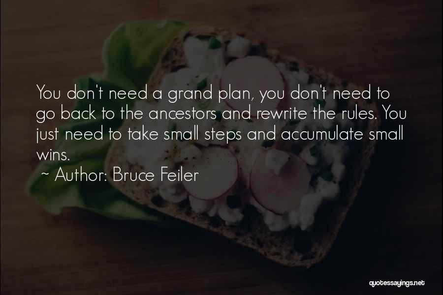 Small Wins Quotes By Bruce Feiler