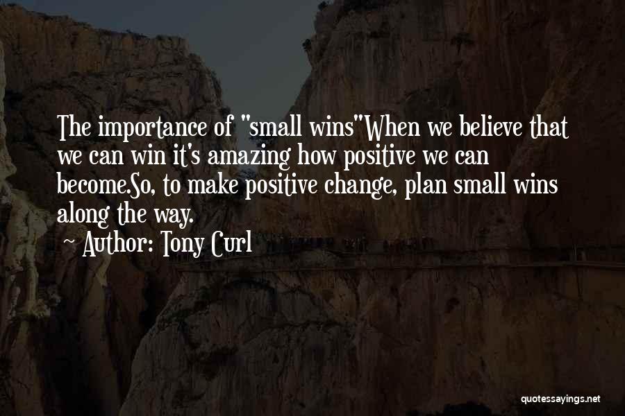 Small Wins Quotes By Tony Curl