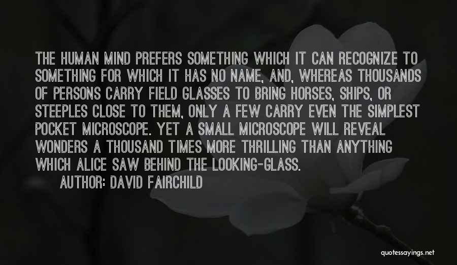 Small Wonders Quotes By David Fairchild