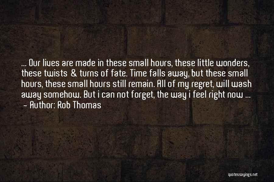 Small Wonders Quotes By Rob Thomas
