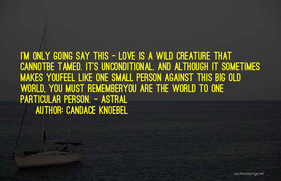 Small World Love Quotes By Candace Knoebel