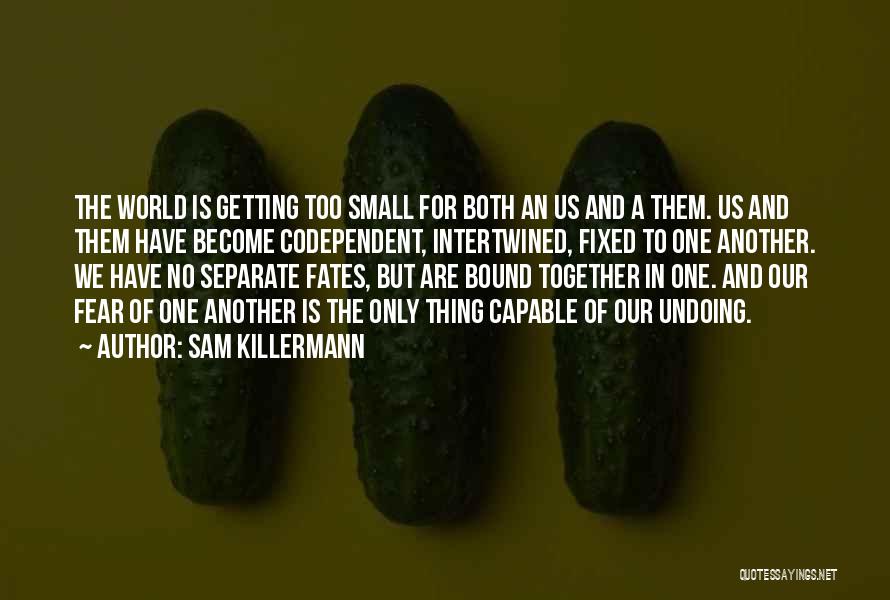 Small World Love Quotes By Sam Killermann