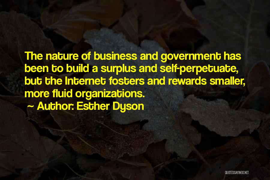 Smaller Government Quotes By Esther Dyson