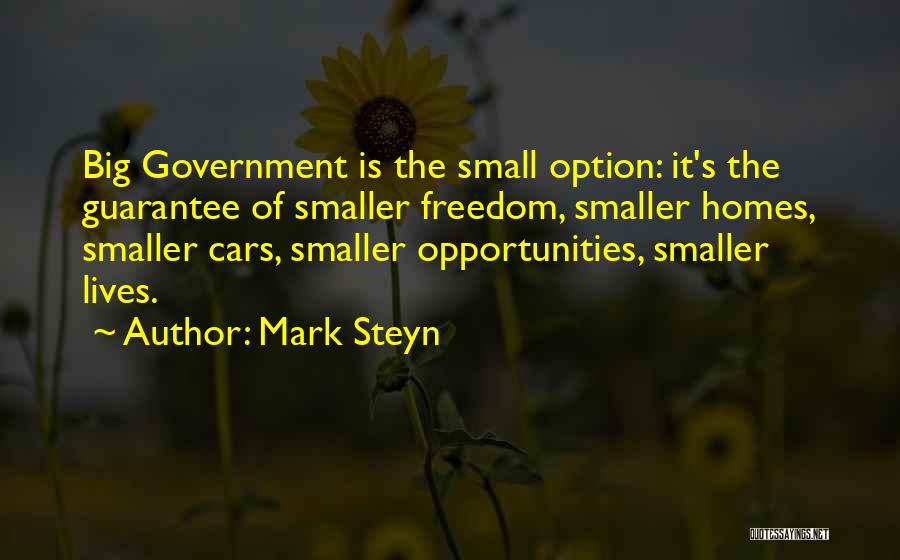 Smaller Government Quotes By Mark Steyn