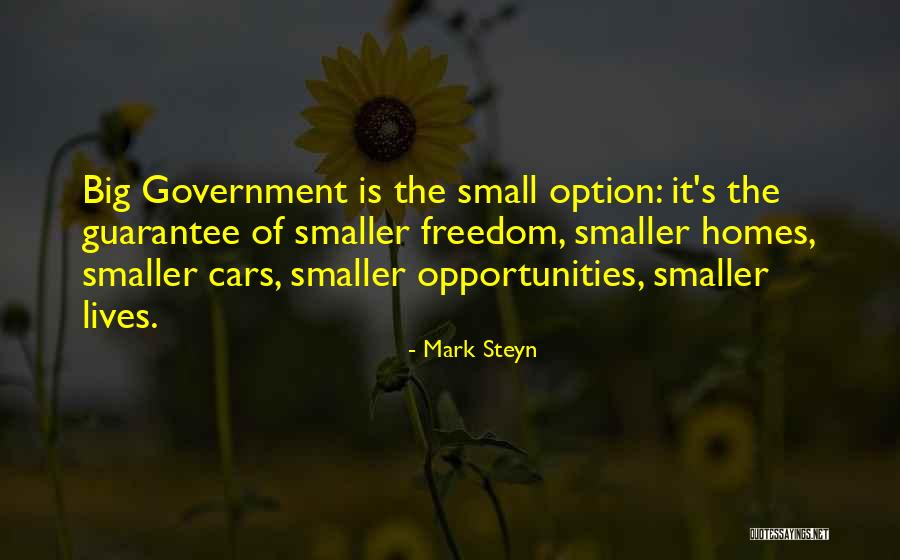 Smaller Government Quotes By Mark Steyn